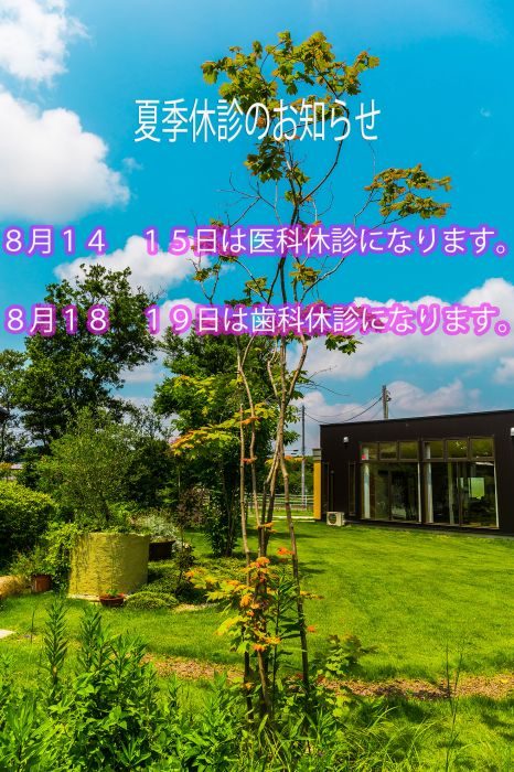 夏季休診のお知らせ